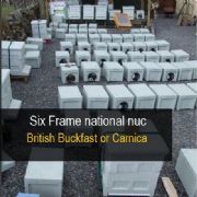 Six Frame Nuc Of British Bees 2016